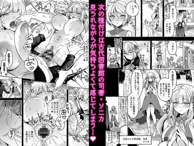 全裸のエルフが仰向けで脚を開き、上から覆いかぶさる男に挿入されている