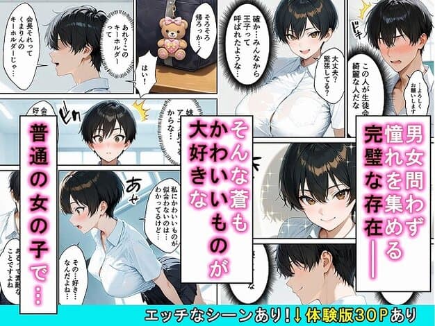 【女の子扱いされたい王子様な生徒会長があまあま中出しセックスでメスになる話】かわいいイチゴ1000％@黒髪の生徒会長と頬を赤らめる男子、普通の女の子で…そんな蒼もかわいいものが大好きなと書かれた紹介